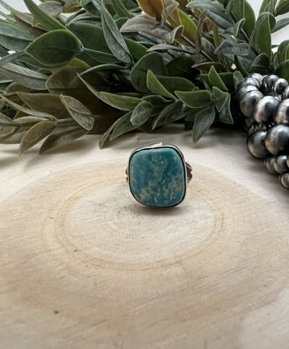 Freeform Turquoise Ring by Sheila Tso - Sunset TQ Mountain